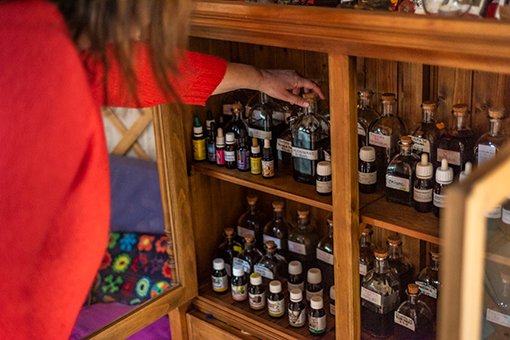 metodo se trabaja con plantas