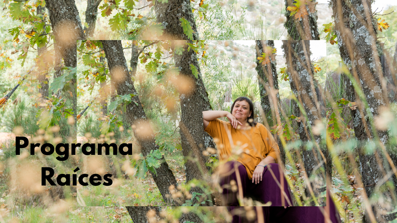 Programa Raíces
